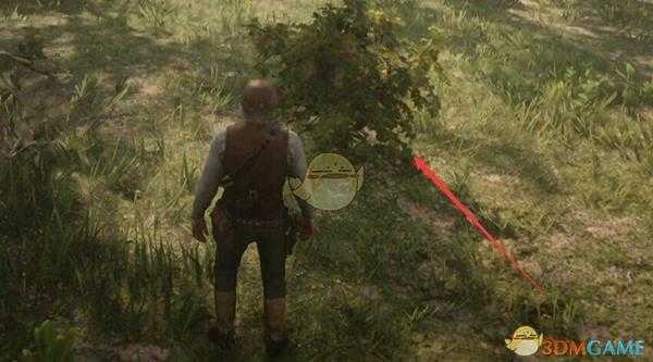 《荒野大镖客2》草药医生挑战2四种莓果位置指南