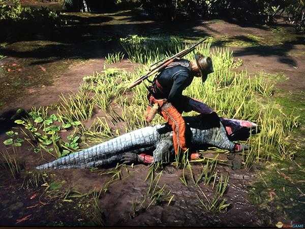 《荒野大镖客2》快速获得家畜皮毛方法分享