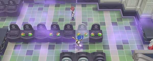 去皮去伊怎么提高个体值