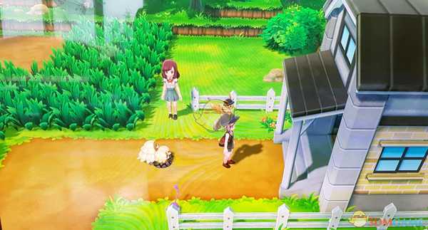 《精灵宝可梦LetsGo皮卡丘伊布》查看资质方法分享