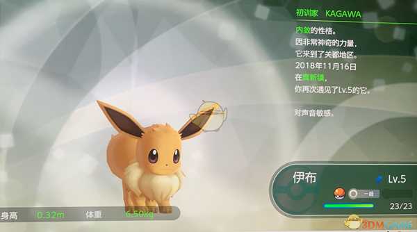 《精灵宝可梦LetsGo皮卡丘伊布》精灵球PLUS注意事项一览