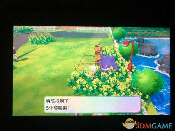 《精灵宝可梦LetsGo皮卡丘伊布》17号道路全浆果位置指南