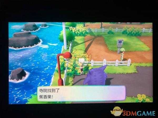 《精灵宝可梦LetsGo皮卡丘伊布》17号道路全浆果位置指南