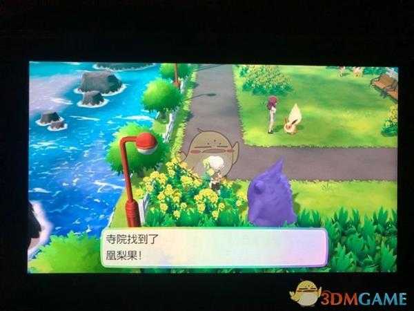 《精灵宝可梦LetsGo皮卡丘伊布》17号道路全浆果位置指南
