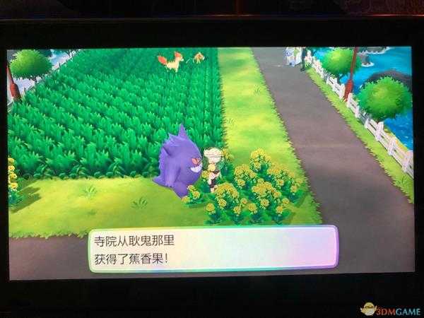 《精灵宝可梦LetsGo皮卡丘伊布》全隐藏道具位置一览