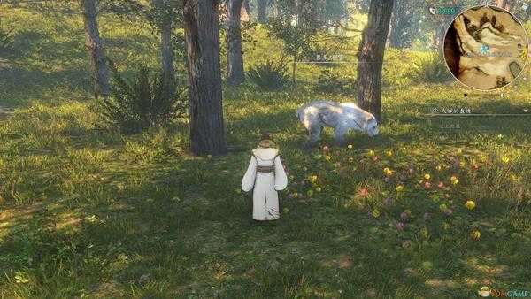 《河洛群侠传》全兽王位置图一览