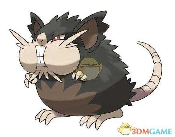 《精灵宝可梦LetsGo皮卡丘伊布》拉达配招推荐