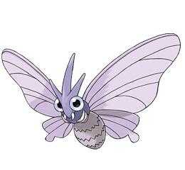 《精灵宝可梦LetsGo皮卡丘伊布》摩鲁蛾配招推荐