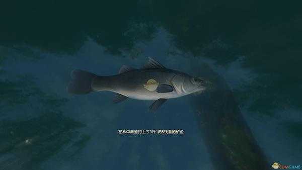 《古剑奇谭3》湖水岸钓鱼点可钓鱼种类一览