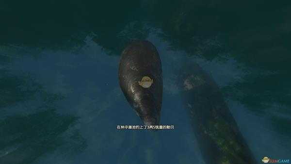 《古剑奇谭3》湖水岸钓鱼点可钓鱼种类一览