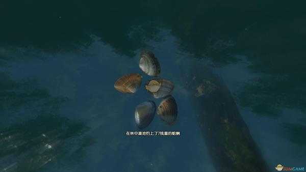 《古剑奇谭3》湖水岸钓鱼点可钓鱼种类一览