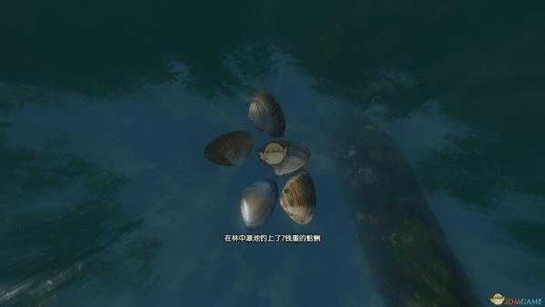 《古剑奇谭3》湖水岸钓鱼点可钓鱼种类一览