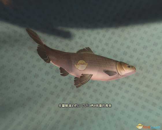 《古剑奇谭3》鄢陵钓鱼点可钓鱼种类一览