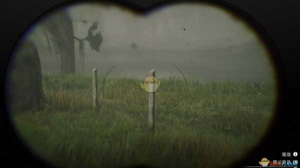 《荒野大镖客2》卡莱罗那长尾鹦鹉刷新位置及背景故事一览