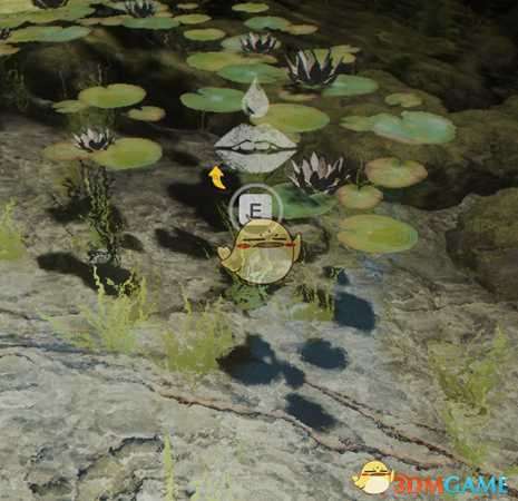 《森林》迷失森林生存指南之——如何找到水
