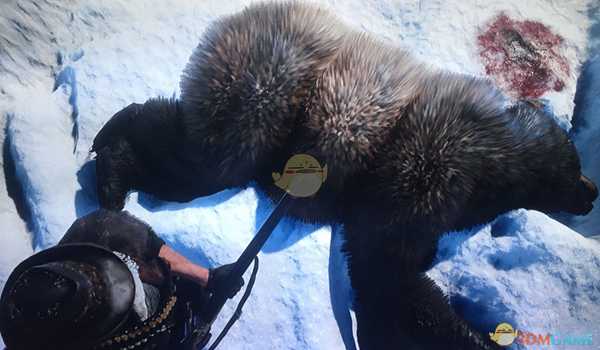 《荒野大镖客2》雪山随机事件获得完美熊皮方法分享