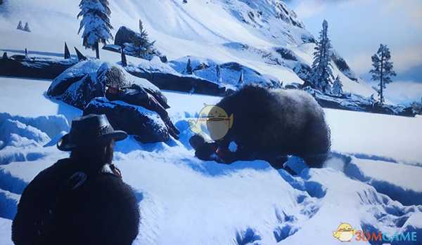 《荒野大镖客2》雪山随机事件获得完美熊皮方法分享