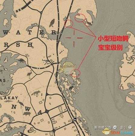 《荒野大镖客2》线上模式最快打猎赚钱方法推荐