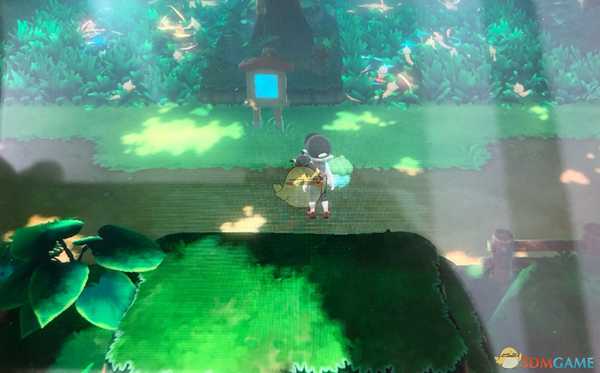 《精灵宝可梦LetsGo皮卡丘伊布》刷闪光大针蜂及闪光独角虫位置分享