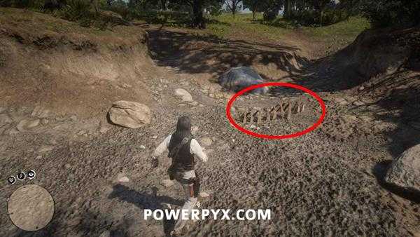 《荒野大镖客2》恐龙骨头全收集 恐龙化石全收集攻略分享