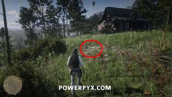 《荒野大镖客2》恐龙骨头全收集 恐龙化石全收集攻略分享