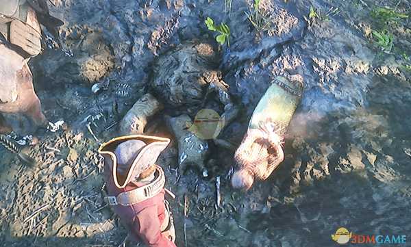 《荒野大镖客2》隐藏细节分享