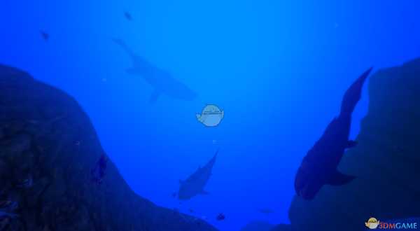 《海底大猎杀》全鱼类图鉴一览