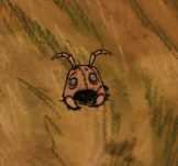 《饥荒》哈姆雷特新加工具有什么_哈姆雷特新加工具介绍