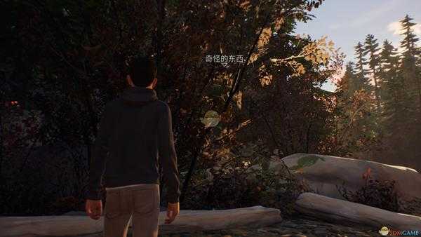 《奇异人生2》全成就指南