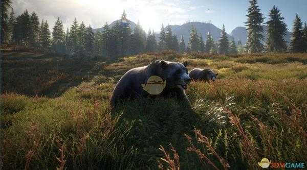 《猎人：荒野的呼唤》给熊拍照任务完成指南