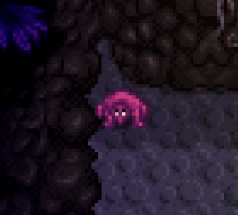 《星露谷物语》岩石蟹详解