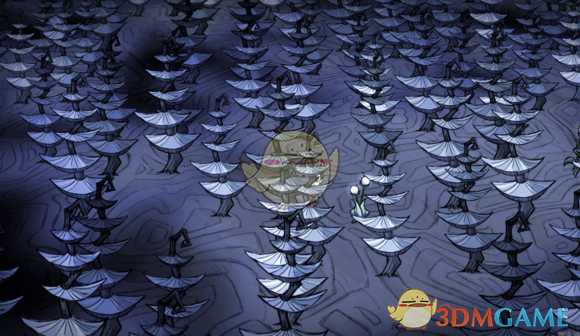 《饥荒：联机版》洞穴地形完全解析——蓝蘑菇森林篇