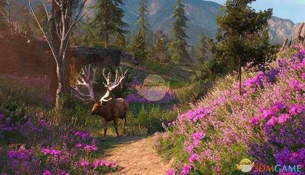 《孤岛惊魂：新曙光》弹簧获得方法介绍