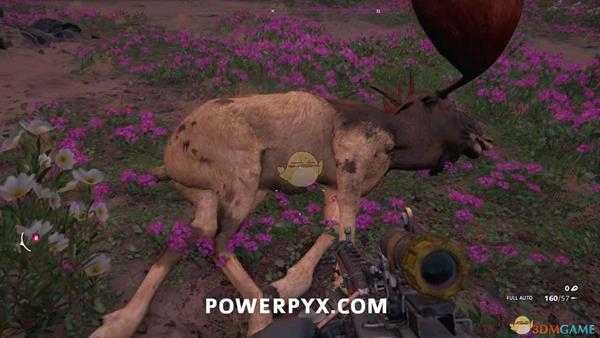 《孤岛惊魂:新曙光》麋鹿狩猎位置指南