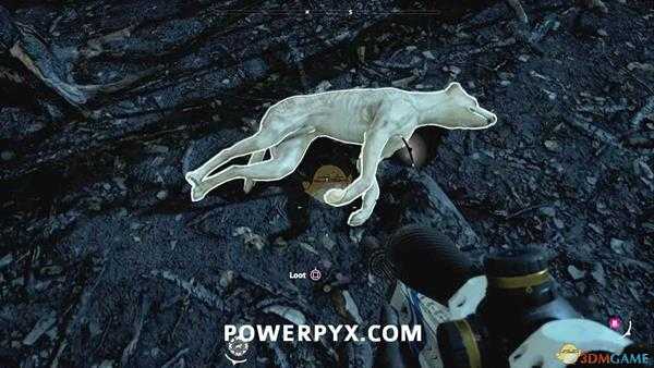 《孤岛惊魂：新曙光》野狗狩猎位置指南