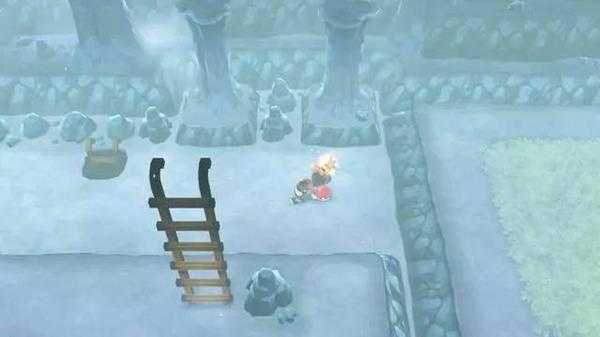 ns宝可梦双子岛怎么推石头