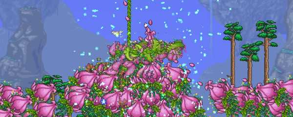 泰拉瑞亚花苞刷新时间