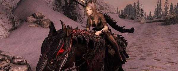 上古卷轴5盗贼工会在哪