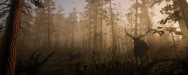 大镖客2美洲狮位置