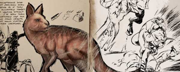 方舟袋鼠吃什么