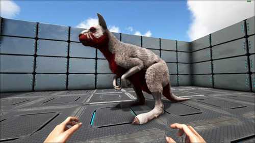 方舟袋鼠吃什么