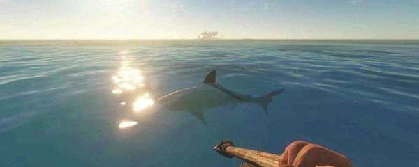 荒岛求生绷带怎么做