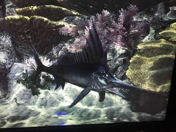 《怪物猎人：世界》帝王旗鱼图文攻略