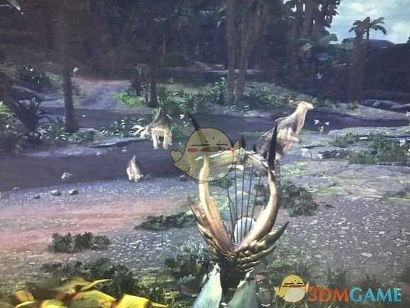 《怪物猎人:世界》柔毛秧鸡获取攻略