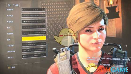 《全境封锁2》好看的捏脸数据一览