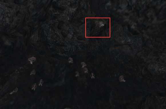 《怪物猎人：世界》鳞片蝙蝠在哪抓