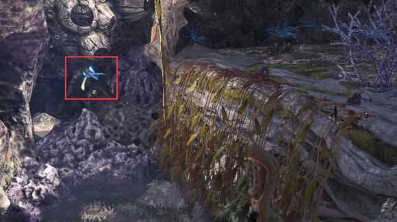 《怪物猎人：世界》吉兆蜻蜓、预兆蜻蜓在哪抓