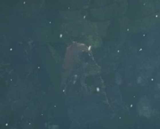 《只狼:影逝二度》主角狼及佛师关系分析