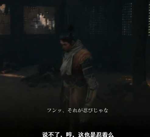 《只狼:影逝二度》主角狼及佛师关系分析