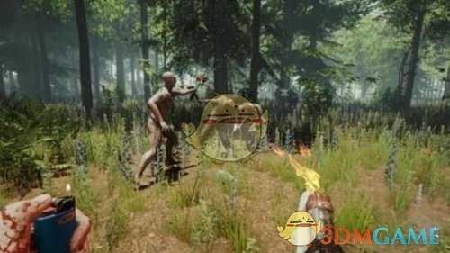 《森林》前期推荐物品制作方法